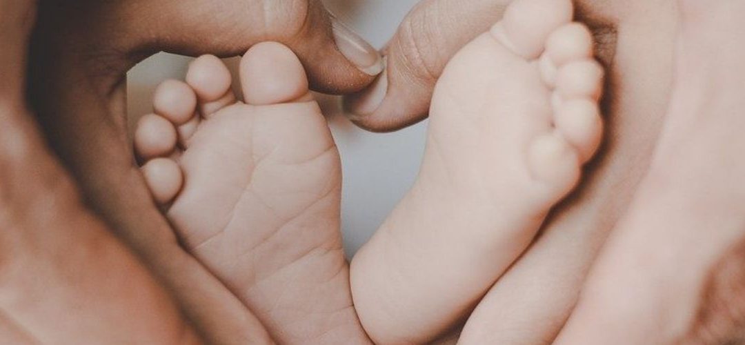 ¿Qué debemos saber los psicoterapeutas sobre el apego?