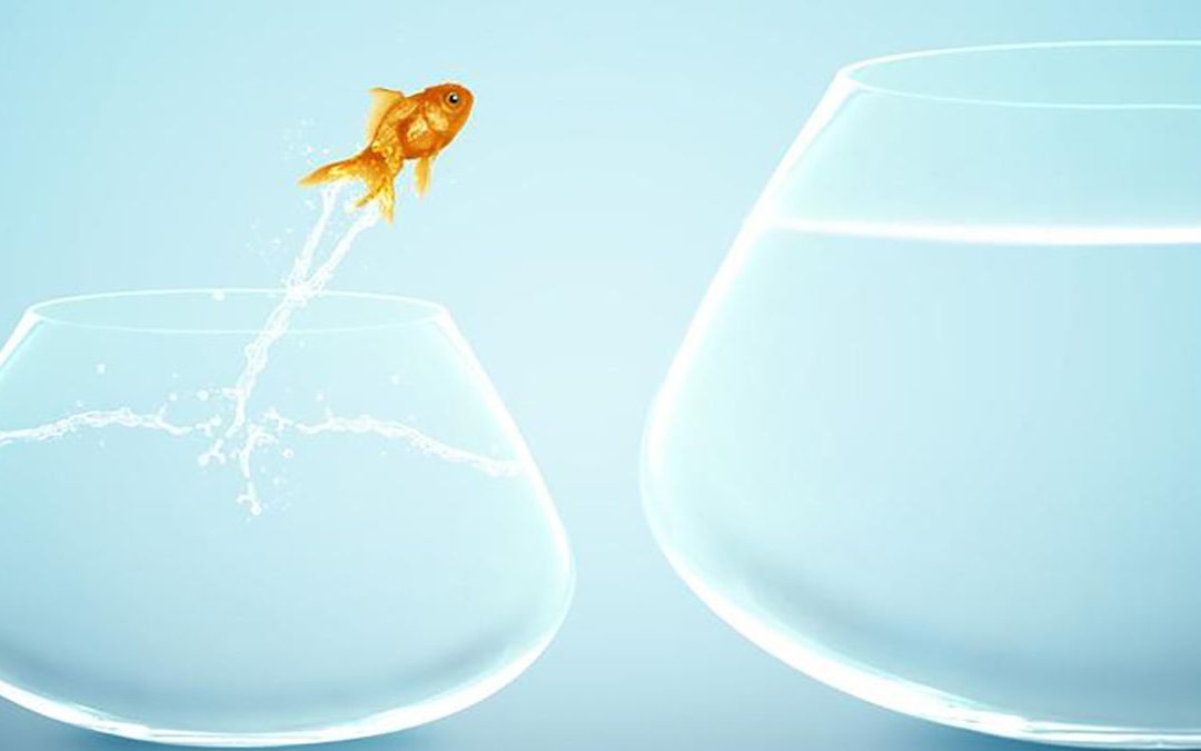 Qué es la resiliencia y por qué te ayuda a vivir mejor