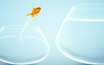 Qué es la resiliencia y por qué te ayuda a vivir mejor